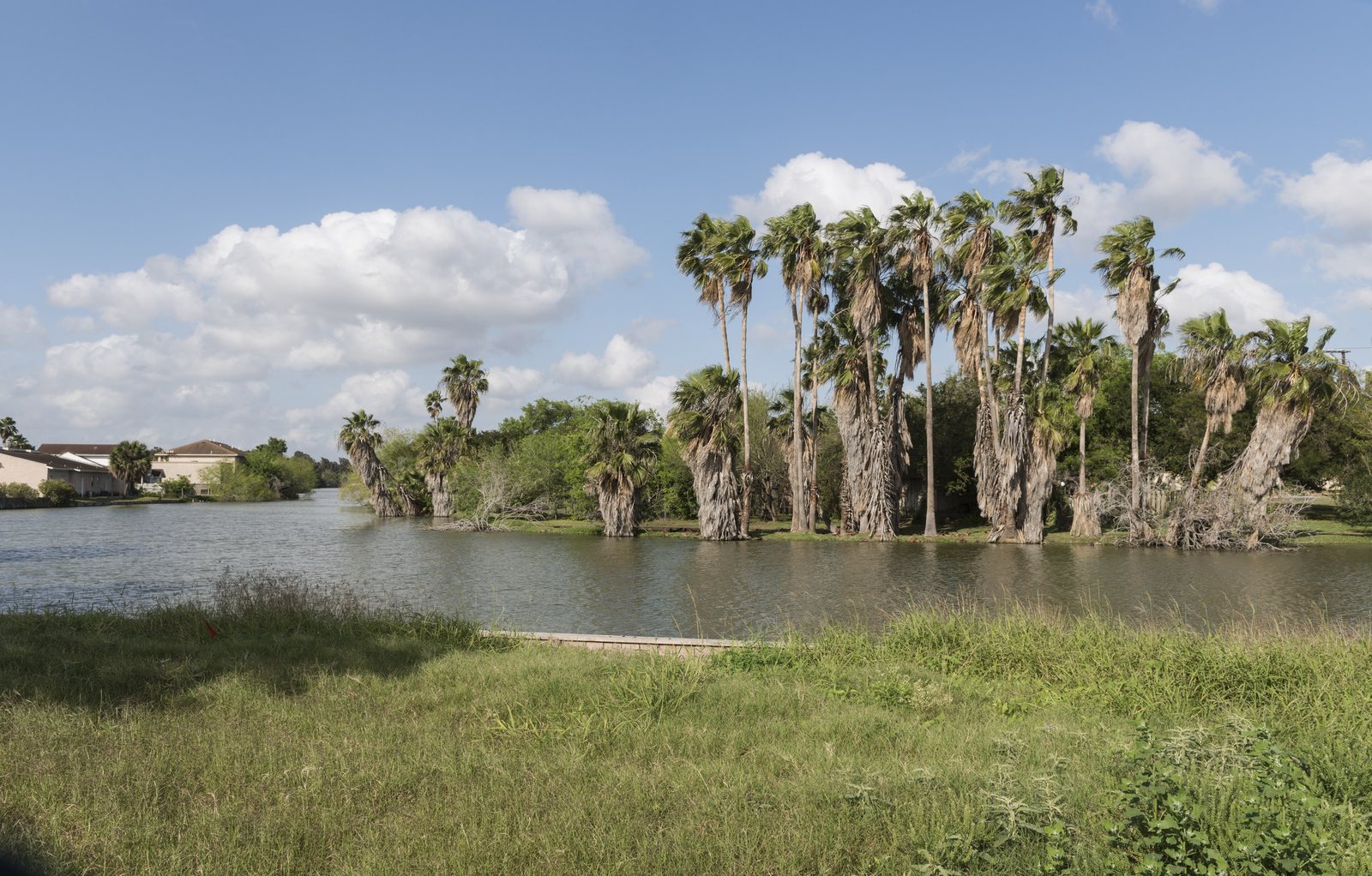 Tall palm trees line the far bank of a winding lake in Brownsville under a blue sky with white clouds